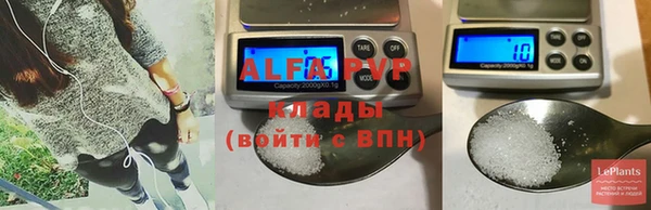 PSILOCYBIN Осташков
