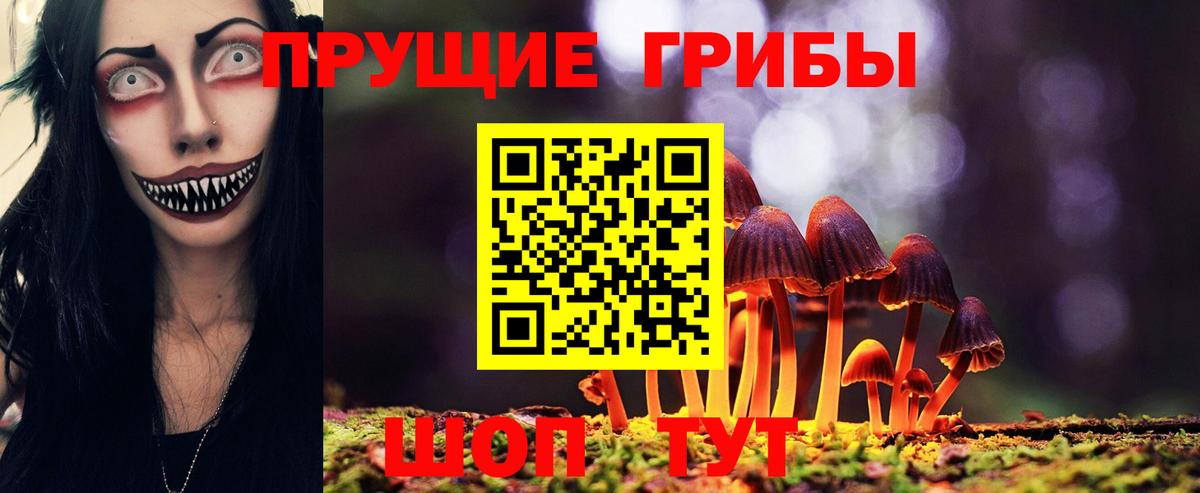 Галлюциногенные грибы GOLDEN TEACHER Сарапул